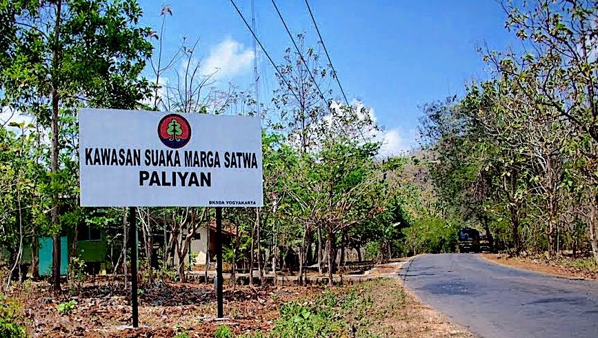 Wisata Pantai Gesing Gunung Kidul - Yogyakarta 2 Kawasan Suaka Marga Satwa Paliyan Gunung Kidul