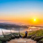 Watu Payung Gunung Kidul Jogja Wisata Hutan Pinus