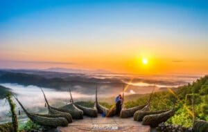 Watu Payung Gunung Kidul Jogja Wisata Hutan Pinus