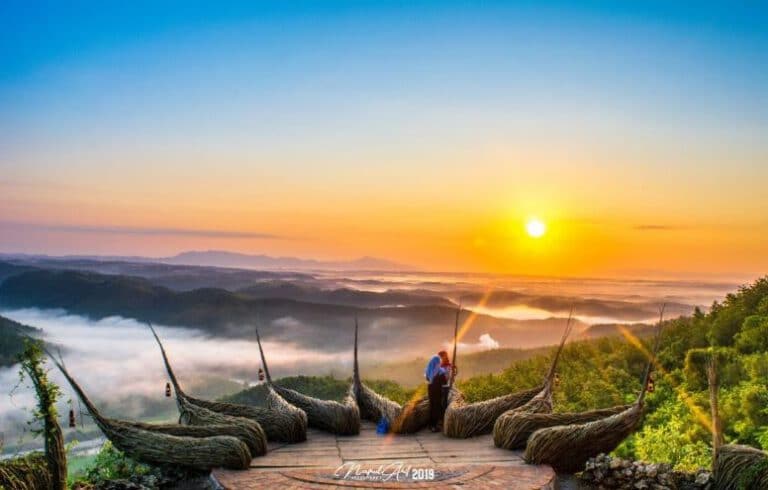 Watu Payung Gunung Kidul Jogja Wisata Hutan Pinus