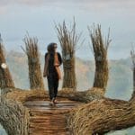 Wisata Hutan Pinus Jogya di daerah Panggang Gunung Kidul