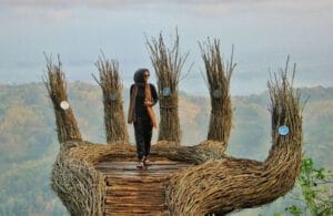 Wisata Hutan Pinus Jogya di daerah Panggang Gunung Kidul