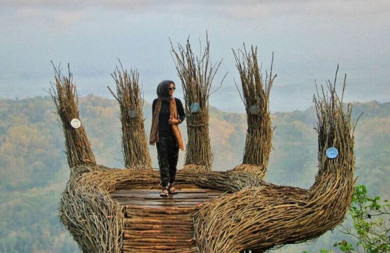 Wisata Hutan Pinus Jogya di daerah Panggang Gunung Kidul